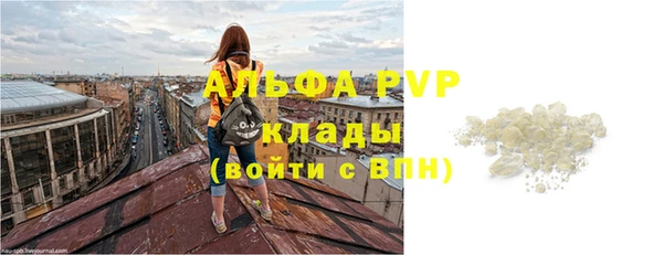 стаф Абинск