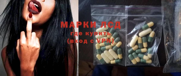 стаф Абинск