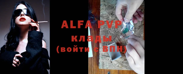 стаф Абинск